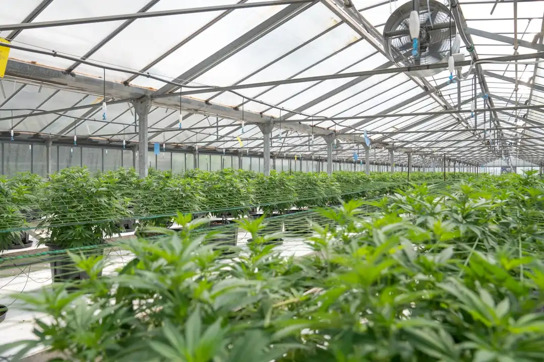陕西企业管理咨询观察：ISO体系认证如何推动西北企业规范化升级