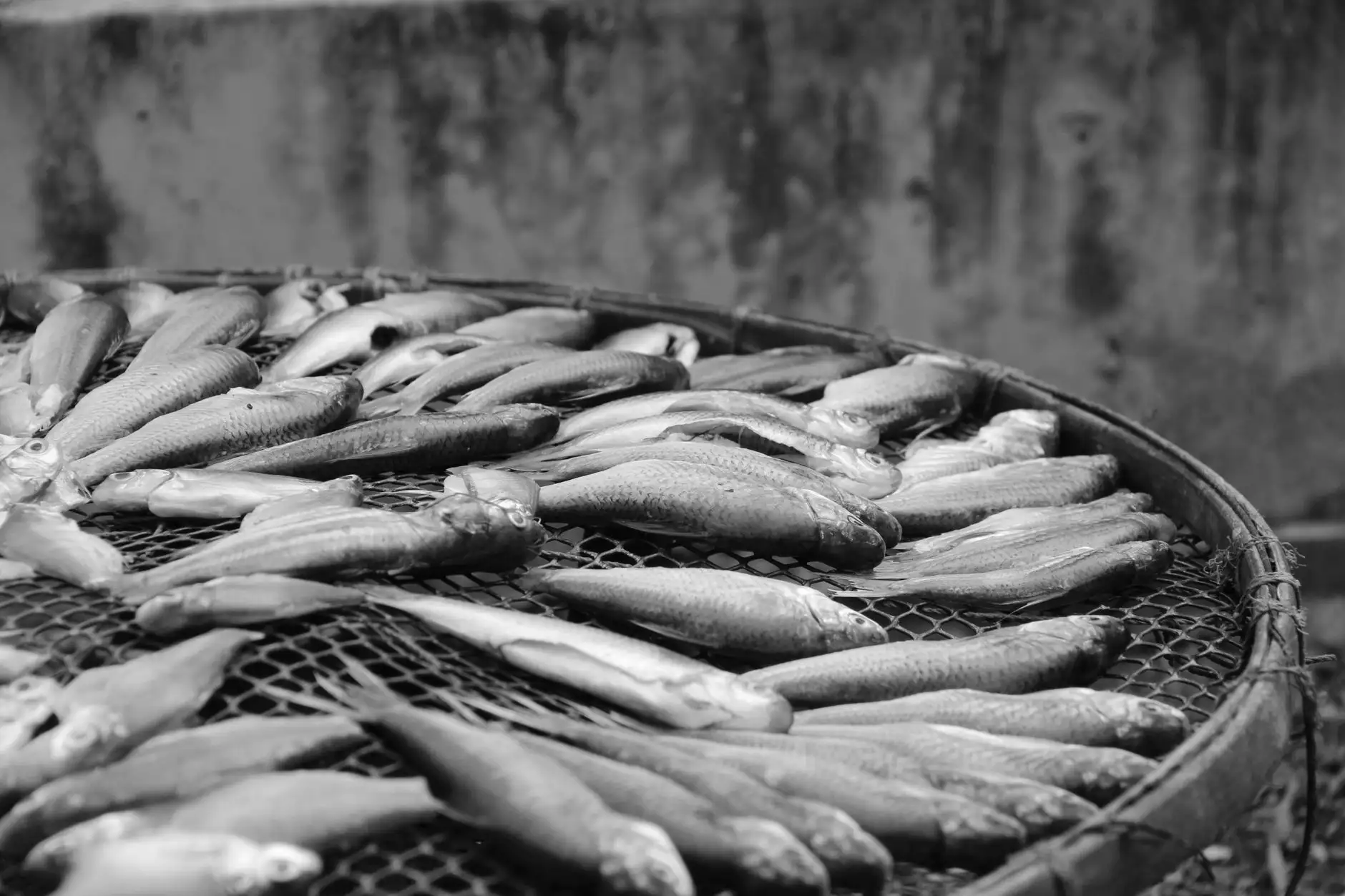 ISO 9001与ISO 14001体系认证在陕西企业的协同应用与价值分析
