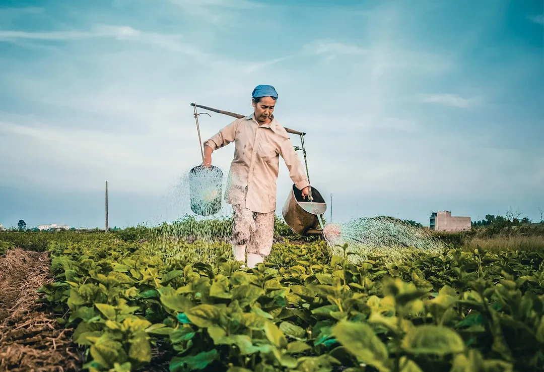 企业管理咨询在西北市场的实践：坤标咨询助力企业规范化运营